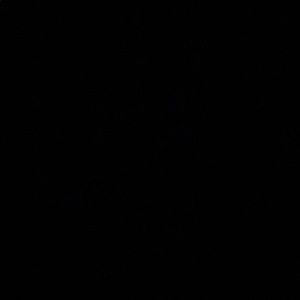 Meet your Posher, Cinthya